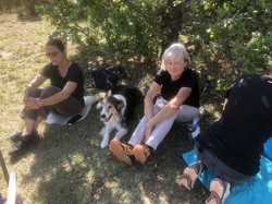 Les fruits charnus sauvages