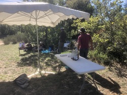 Les fruits charnus sauvages