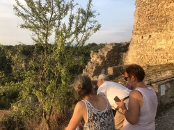 Les Insectes chanteurs!