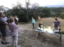 Les Insectes chanteurs!