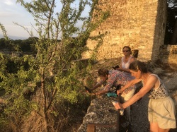 Les Insectes chanteurs!