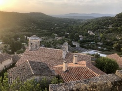 Les Insectes chanteurs!