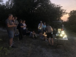 Les Insectes chanteurs!