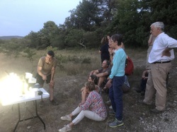 Les Insectes chanteurs!