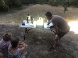 Les Insectes chanteurs!