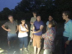 Les Insectes chanteurs!