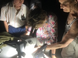 Les Insectes chanteurs!