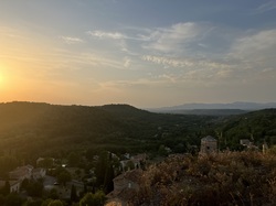 Les Insectes chanteurs!