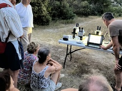 Les Insectes chanteurs!