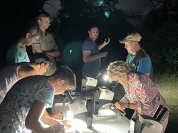 Les Insectes chanteurs!