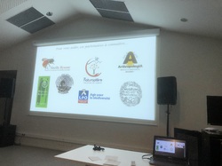 Les Insectes pollinisateurs