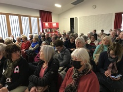 Les Insectes pollinisateurs