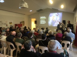 Les Insectes pollinisateurs