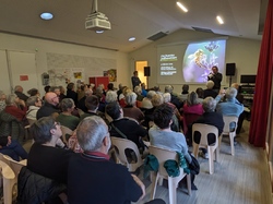 Les Insectes pollinisateurs