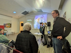 Les Insectes pollinisateurs