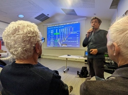 Les Insectes pollinisateurs