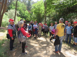 Les Mines d'ocre jaune de Bruoux