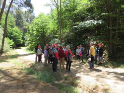 Les Mines d'ocre jaune de Bruoux
