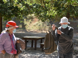 Les Mines d'ocre jaune de Bruoux