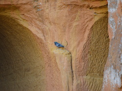 Les Mines d'ocre jaune de Bruoux