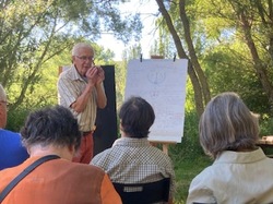 Les orchidées sauvages