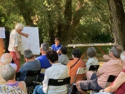 Les orchidées sauvages