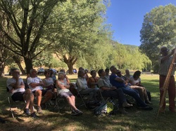 Les orchidées sauvages