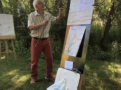 Les orchidées sauvages