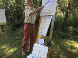 Les orchidées sauvages