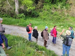 Les Passereaux de la Nesque à Méthamis