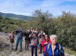 Les Passereaux de la Nesque à Méthamis