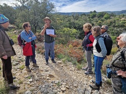 Les Passereaux de la Nesque à Méthamis