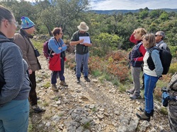 Les Passereaux de la Nesque à Méthamis