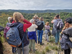 Les Passereaux de la Nesque à Méthamis