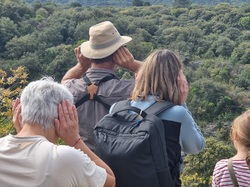 Les Passereaux de la Nesque à Méthamis