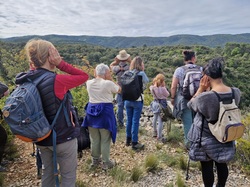 Les Passereaux de la Nesque à Méthamis