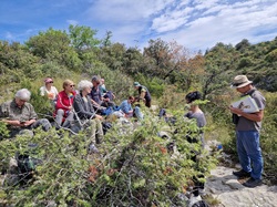 Les Passereaux de la Nesque à Méthamis