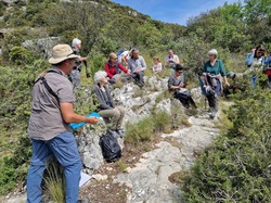 Les Passereaux de la Nesque à Méthamis