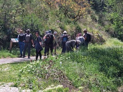 Les Passereaux de la Nesque à Méthamis