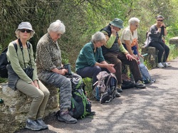 Les Passereaux de la Nesque à Méthamis