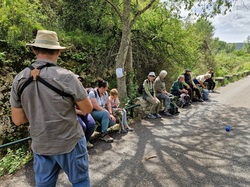 Les Passereaux de la Nesque à Méthamis