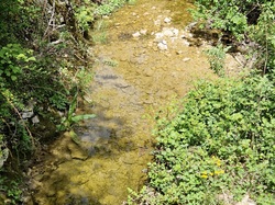 Les Passereaux de la Nesque à Méthamis