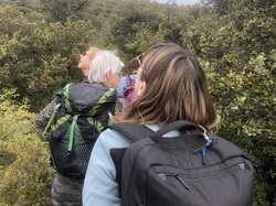 Les Passereaux de la Nesque à Méthamis