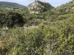 Les Passereaux de la Nesque à Méthamis