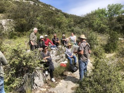 Les Passereaux de la Nesque à Méthamis