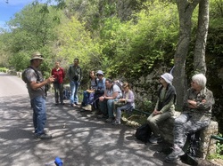 Les Passereaux de la Nesque à Méthamis