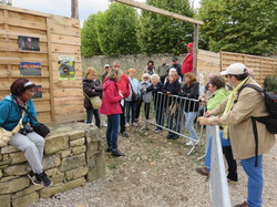 Les Pyrénées cathares 1