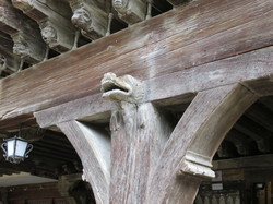 Les Pyrénées cathares 1