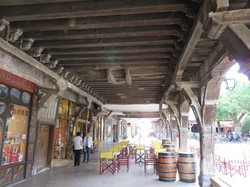 Les Pyrénées cathares 1