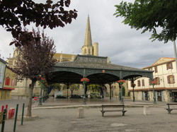 Les Pyrénées cathares 1